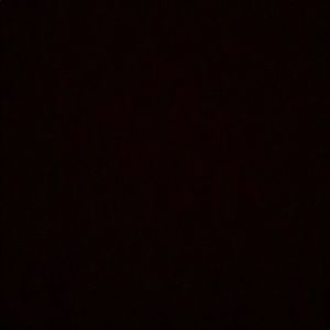 Meet your Posher, Carisa